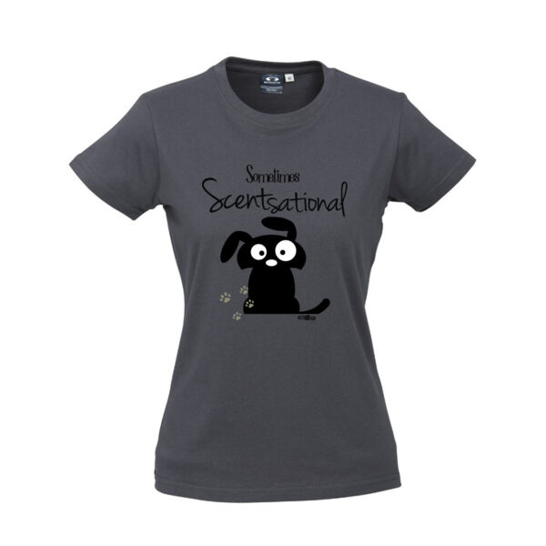 Sometimes Scentsational- Cloke Womens Silhouette Tee V2 - Biz Collection Ladies Ice Tee Thumbnail